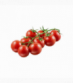 TOMATE ASURCADO CHEROKEE